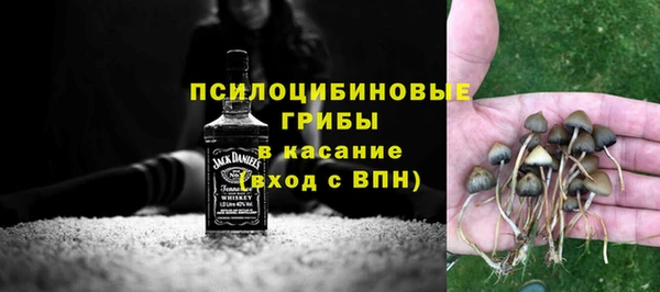 сатива Армянск