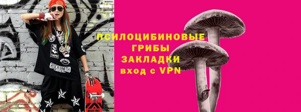 ECSTASY Аркадак