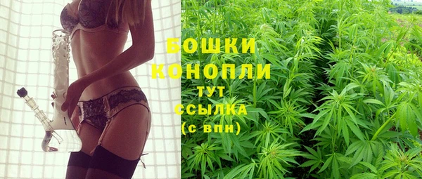сатива Армянск