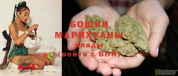 сатива Армянск