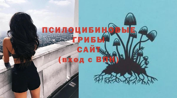 первитин Арсеньев
