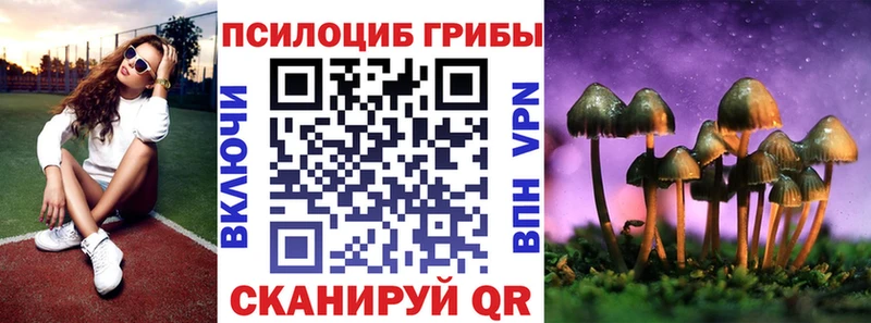 Псилоцибиновые грибы Psilocybine cubensis  наркотики  blacksprut рабочий сайт  Партизанск 